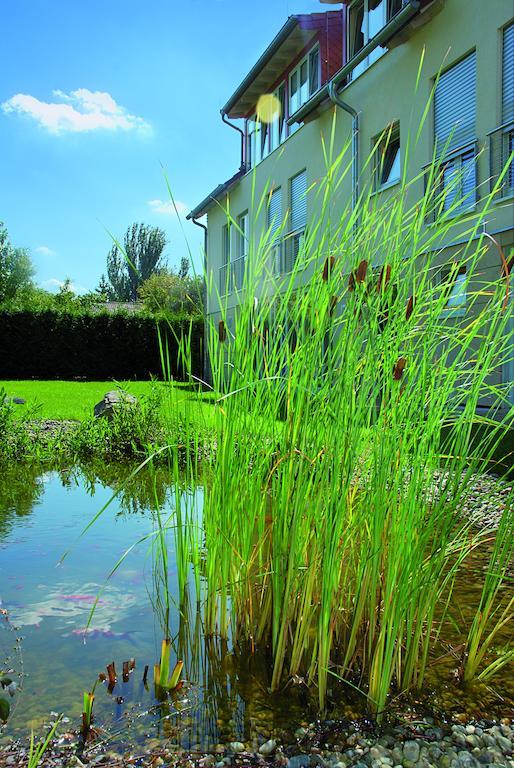 Landhotel Altes Wasserwerk Gbr Freinsheim Eksteriør bilde